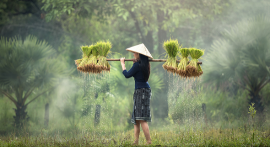 Riches of the Mekong