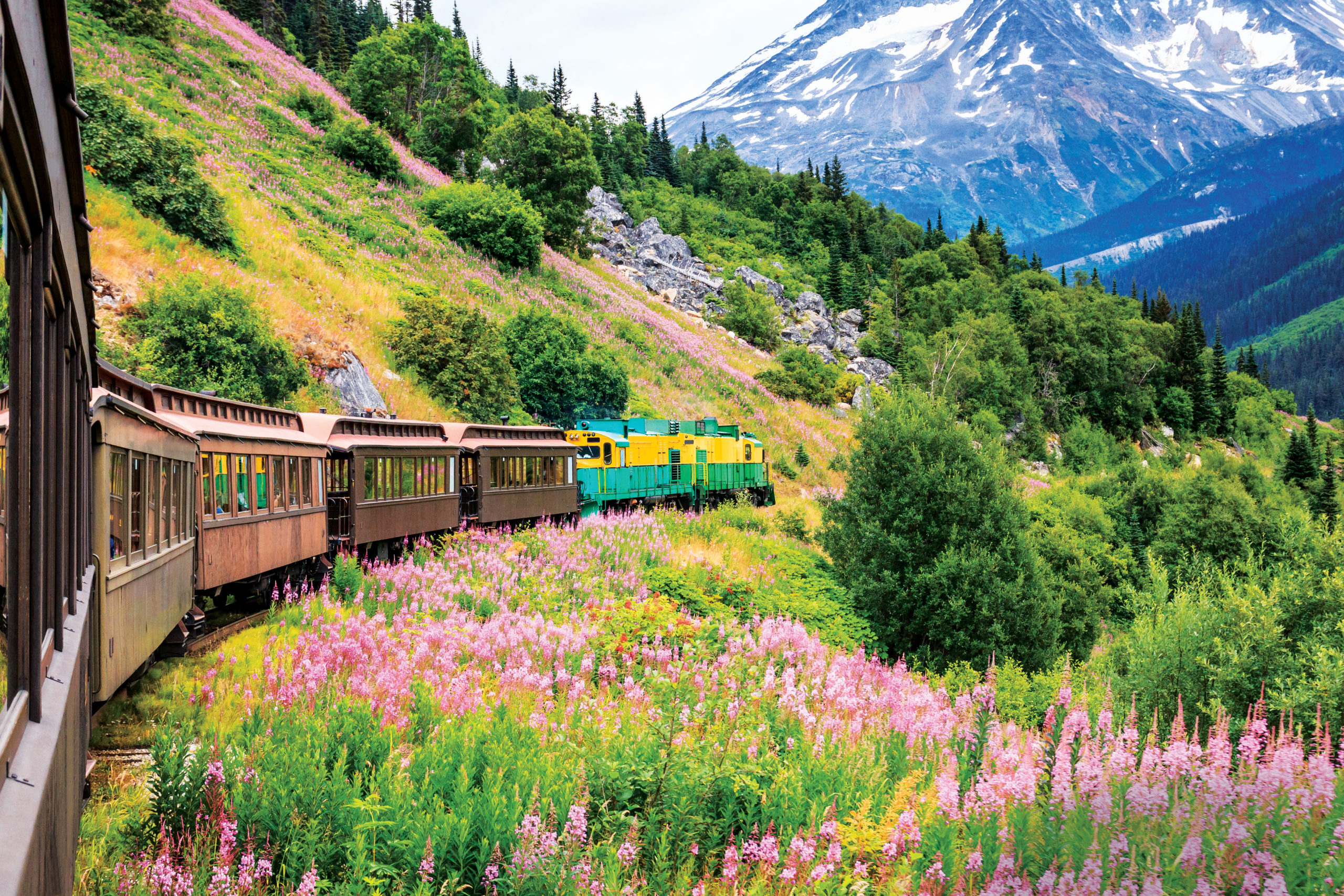 Alaska Cruise - HAL - Noordam